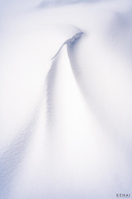 Abstract image of snow in the interior of Alaska, resembling a bridal veil.