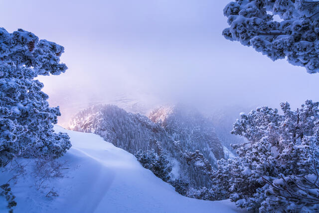 A winter sunrise on the Sandia Mountains above Albuquerque, New Mexico. 
