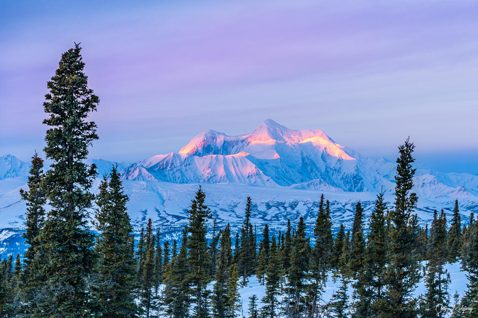 Mount Hayes of the Alaska Range is illuminated by diffuse dawn light in winter. 