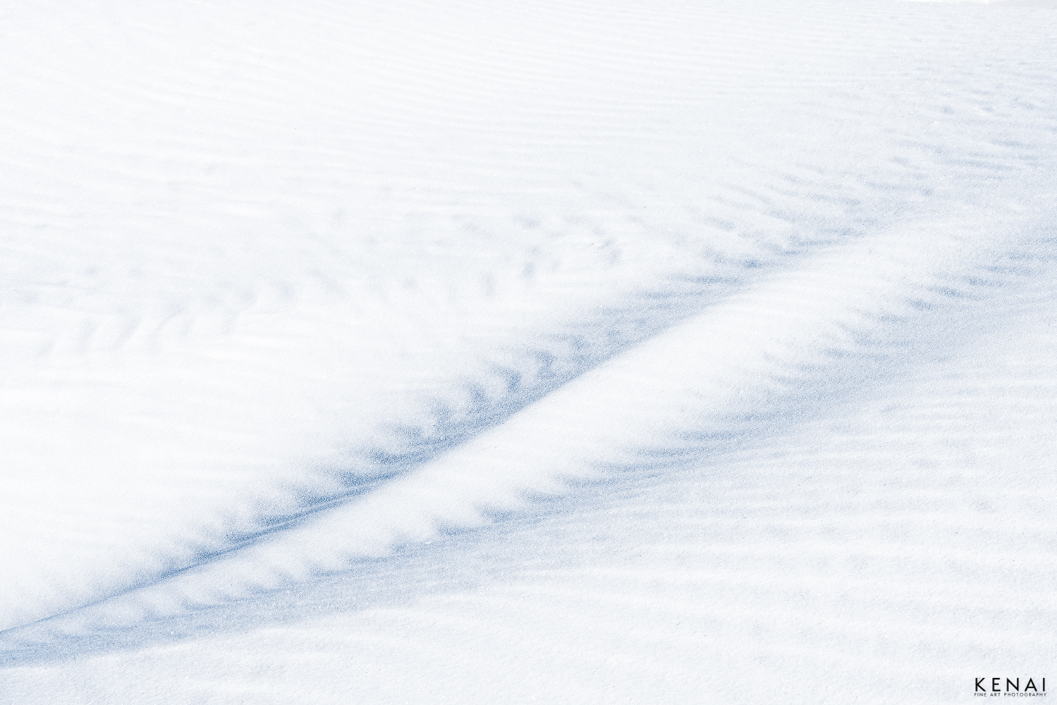 A simple abstract shape in the dunes of White Sands National Park, New Mexico.