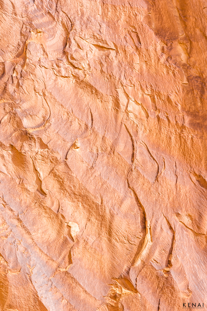 Gold-colored, scalloped walls in this abstract photo of Capital Reef National Park in Utah. 