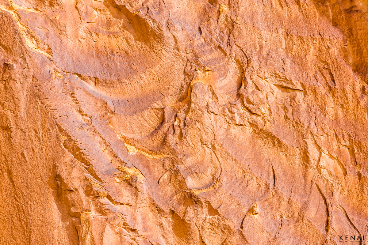An early morning, abstract photo of the gold-colored walls of the Grand Wash at Capital Reef National park, Utah.