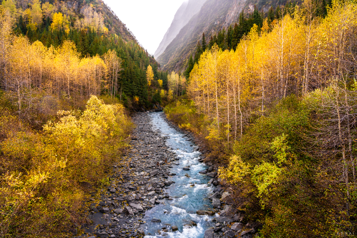 Beautiful fall foliage seems to illuminate this river on the way south to Valdez.