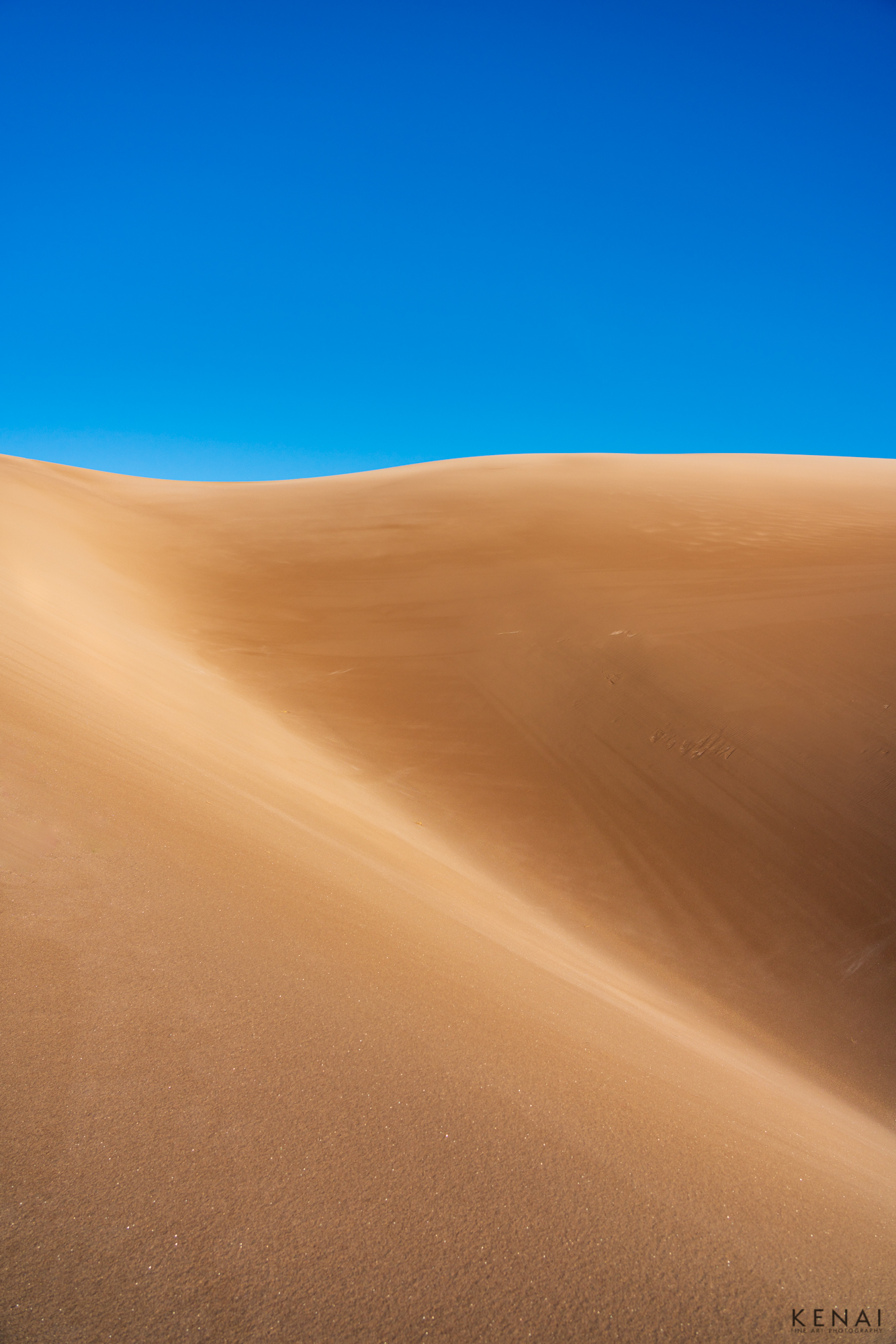 Textured, golden sand under a bright blue sky in Great Sand Dunes National Park, Colorado. 